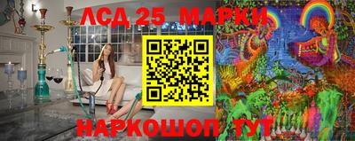 гидропоника Будённовск