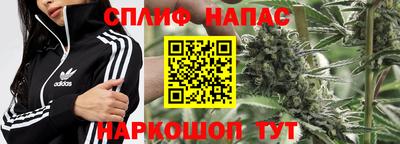 гидропоника Будённовск