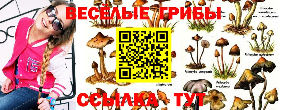 Псилоцибиновые грибы мицелий  Вход с VPN  Реутов  Псилоцибиновые грибы Cubensis 